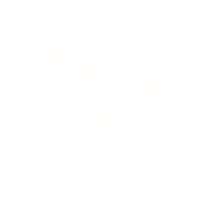 Willow Tree Studio Logo